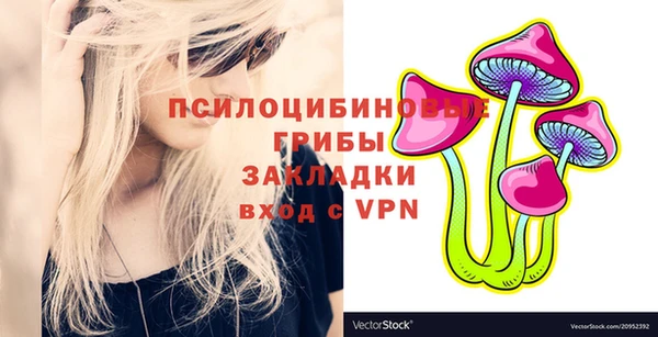 ALPHA-PVP Коряжма