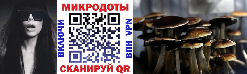 купить наркотики цена  Холм  Галлюциногенные грибы мухоморы 